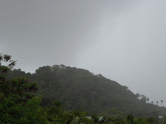 En images, les étapes d'une averse tropicale : vent de pluie, barre de nuages, rideau de pluie, torrents d'eau, retour du soleil... Photos (c) Brittia Guiriec