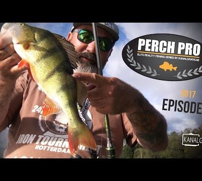 Perch Pro 2017 épisode 4!