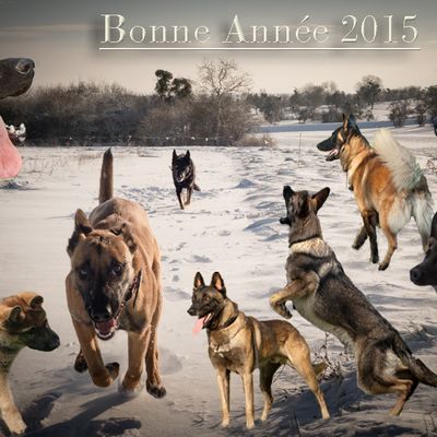 Bonne et heureuse année 2015