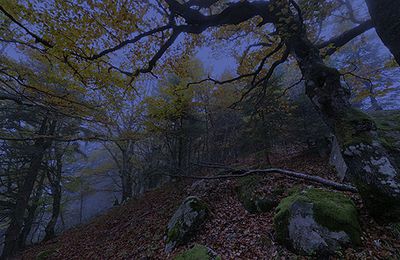 ce soir, à la brume…