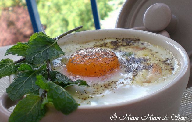 OEUF COCOTTE & BROUSSE DE PETITS LEGUMES