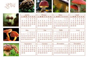 calendrier annuel 2014 thème champignons
