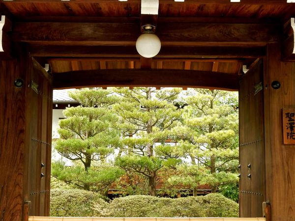 Kyôto : Le Myôshinji 妙心寺, tout un village de temples!