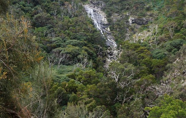 Great Ocean Road - Waterfall