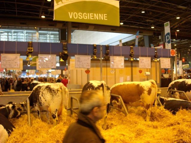 Album - Salon-International-de-l-Agriculture-2010