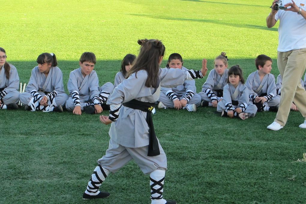 Shifu Senna (Brasileiro), desde 1979, dedicado la Arte Marcial China.

Clases de Kung Fu Tradicional Shaolin del Sur, Maestro senna, tiene un programa de entrenamiento que permite a los nuevos aprendices abordar el complejo arte del Kung Fu