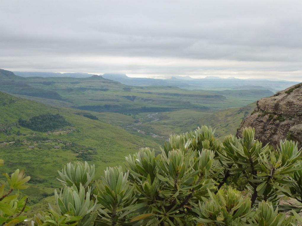 Album - Drakensberg