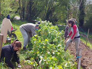 Au cours des scéances collectives depuis sa création ! 