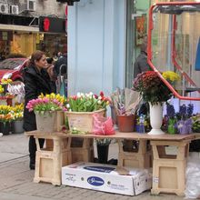 Journée de la femme, journée des fleurs