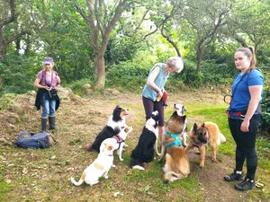 Souvenirs de la randonnée canine de Binic via le Vau Madec