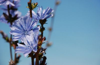 Réussir... ou vivre en paix ?