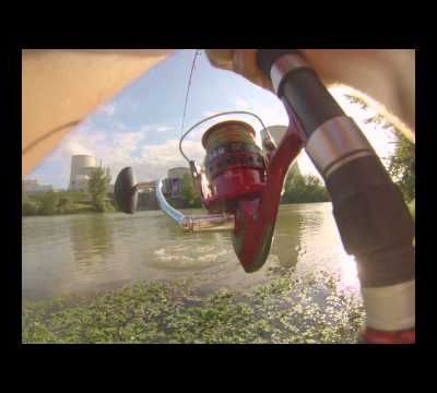 Silure 2m35 en Garonne (Golfech, 82) 