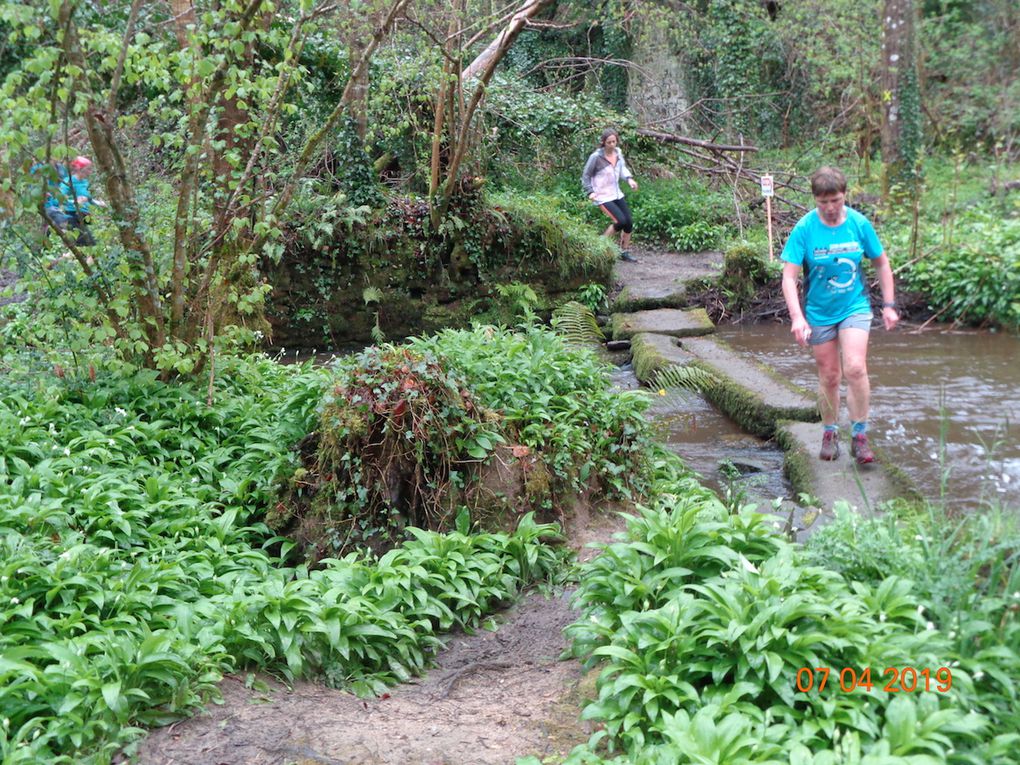 Photos du trail du Min Ran