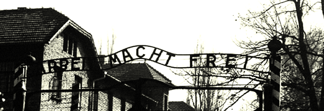 71ème anniversaire de la fermeture d'Auschwitz par l'Armée Rouge