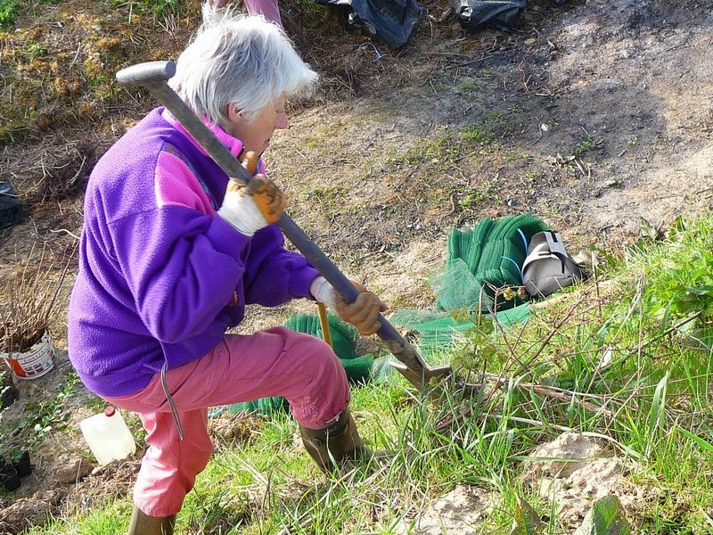 Les Vadrouilleux et chasseurs plantent des arbustes dans la cavée d'Embreville