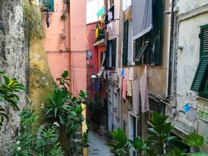 Ruelles du Centre Historique