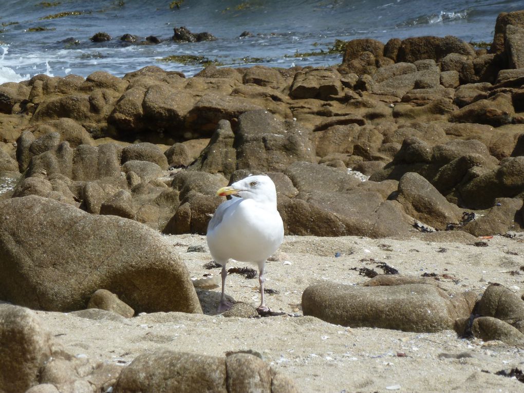 Album - 20120902-Bretagne