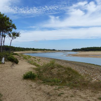 Promenade Dans l'estuaire du Payré en aout