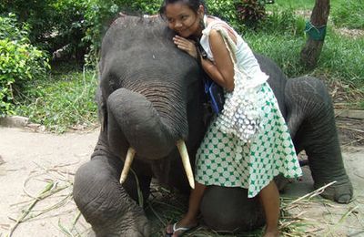 Une journée à Ayutthaya, par Jitima, suite et fin