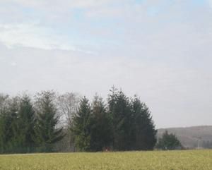 <P>Je considère peut-être que c'est "mort" de vivre dans cette région, néanmoins, je ne peux qu'admettre combien les paysages sont somptueux.</P>
<P>Voici quelques photos de la région, pas forcément bien cadrée puisque prises à l'aveugle en voiture.</P>