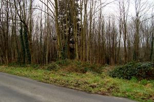 Parcourir les chemins du Hinglé et de Trévron le 12 FEVRIER2013