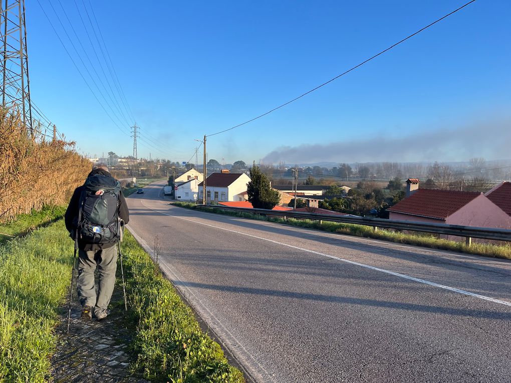 Notre matinée entre route circulante, chemin mouillé et petite départementale. Des grands chênes lieges et de jolis jardins.