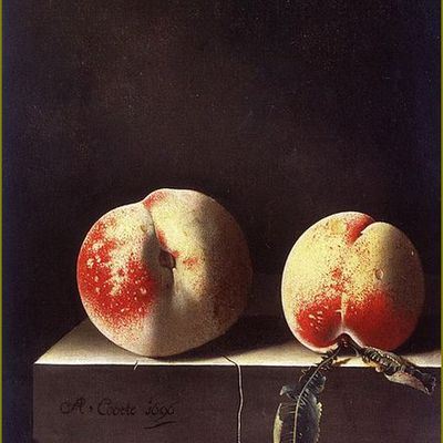 Fruits d'été par les peintres  - Adriaen Coorte (1665-1707) pêches
