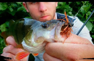 Un été , du poisson !