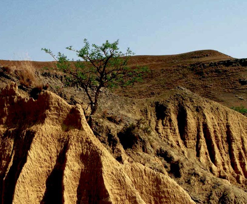 « La sagesse de la terre est une complicité totale entre l’homme et son environnement. »
de Pierre-Jakez Helias