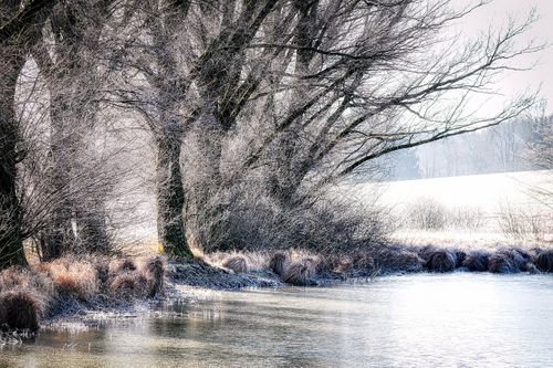 Hiver Un Jour Une Pensee