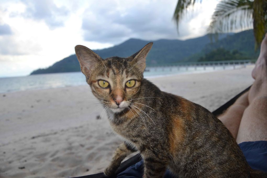 Kuala Lumpur, Melaca, Mersing et Tioman island