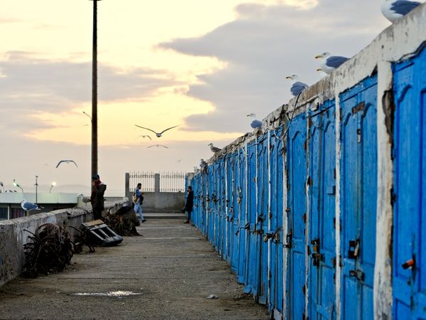 Quelques parts, là où les poissons sont débarqués, en levant les yeux au ciel, on peut apercevoir sous les cris des pêcheurs et se confondant avec le bleu immaculé du ciel, des portes bleues que les habitants finissent par ne plus voir...et pourtant elles sont fascinantes de charme et donnent à la promenade un cachet qui mériterait un peintre de talent.