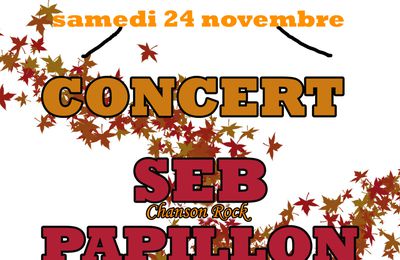 CONCERT SEB+PAPILLON LE 24/11/12 A NONETTE