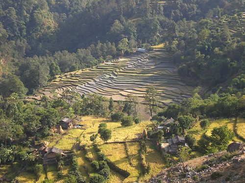 Album - Nepal