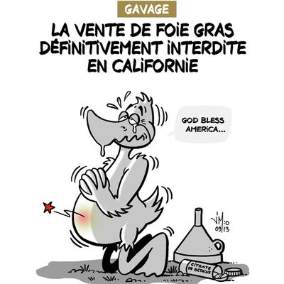 Le gavage = maltraitance ?