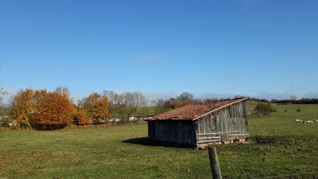 L'automne dans les prés et vergers