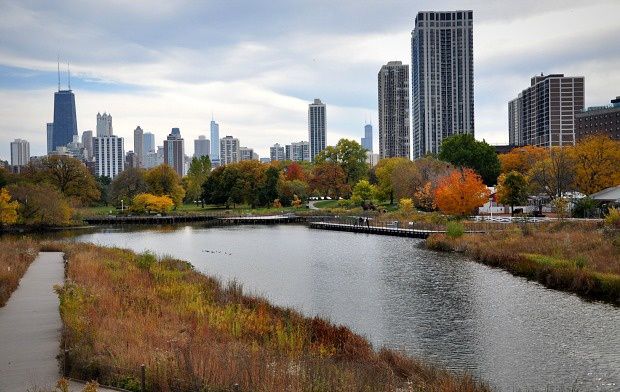 Doria aux Etats-Unis (13)...Chicago, Lincoln Park Zoo