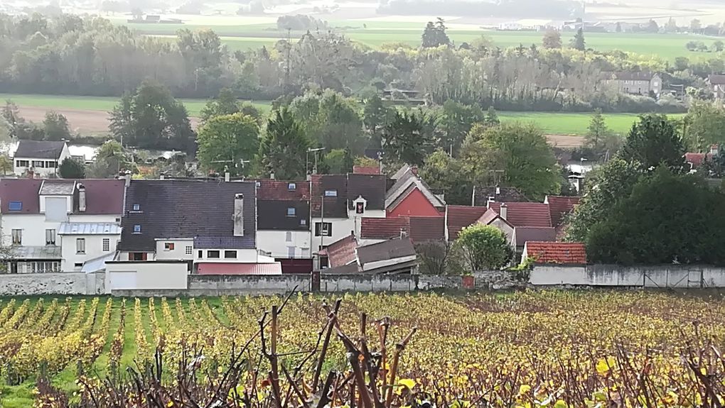 679. Dimanche 22 Octobre, les vignes du Pays Fertois.