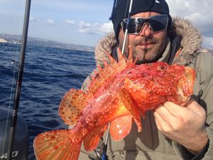 la pêche du chapon aux leurres souples