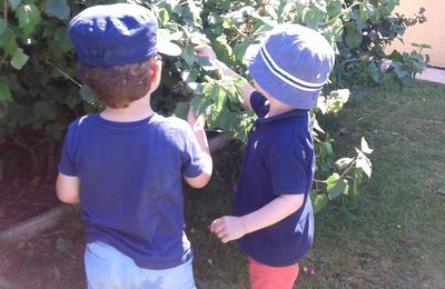 Profitons du beau temps dans le jardin.