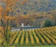 #Noiret Wine Producers Maryland Vineyards
