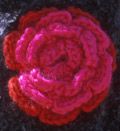 Et re-fleur au crochet, modèle gratuit