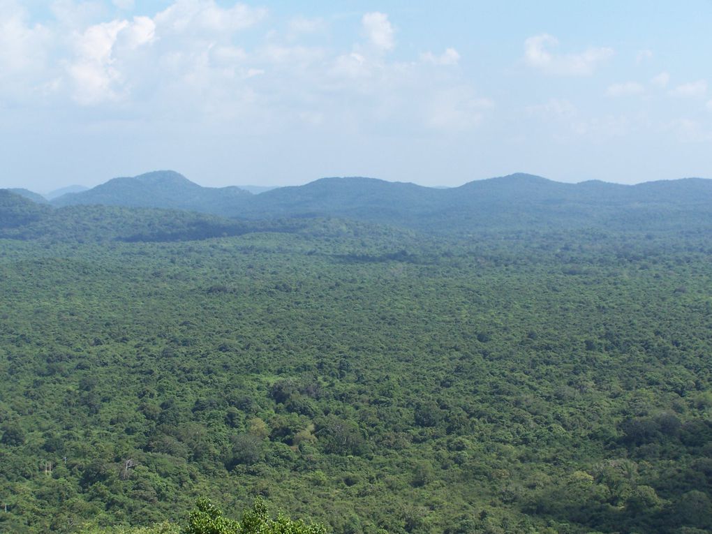 Sigirya et Dambulla