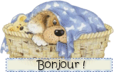 Avant ,pendant et apres