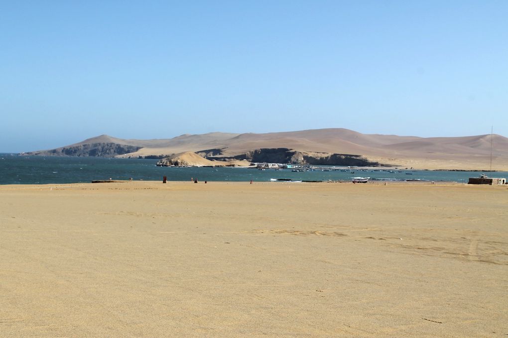 Superbe péninsule de Paracas