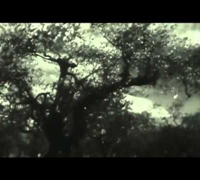 Jean Giono à Manosque, une fenêtre sur le monde