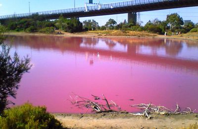 Pink Lake