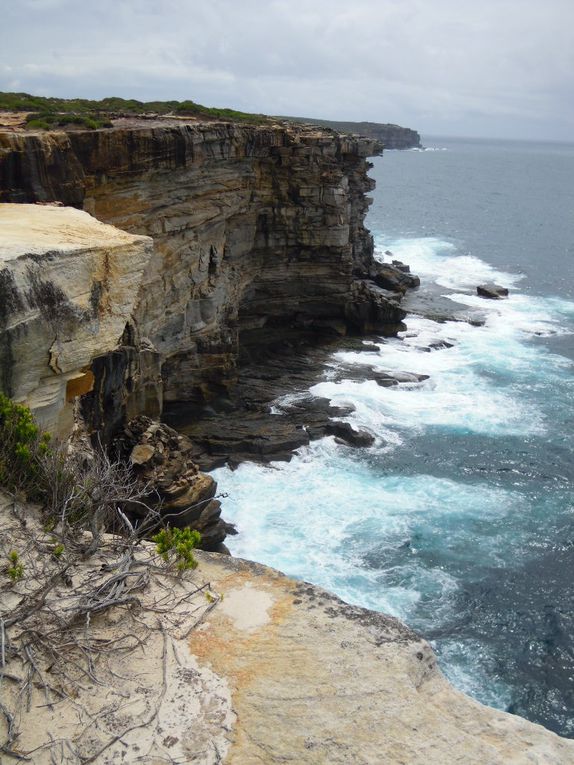 Album - VC. AUSTRALIE - Wattamola et Kiama