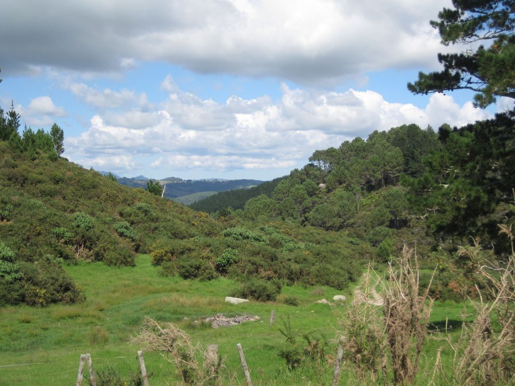 Tauranga et la région ainsi que le volcan Tongarino