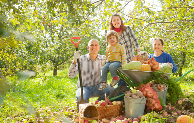 Jardiniers Complices : 29 octobre